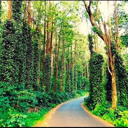 Sp Resort Inn Yercaud Eksteriør billede