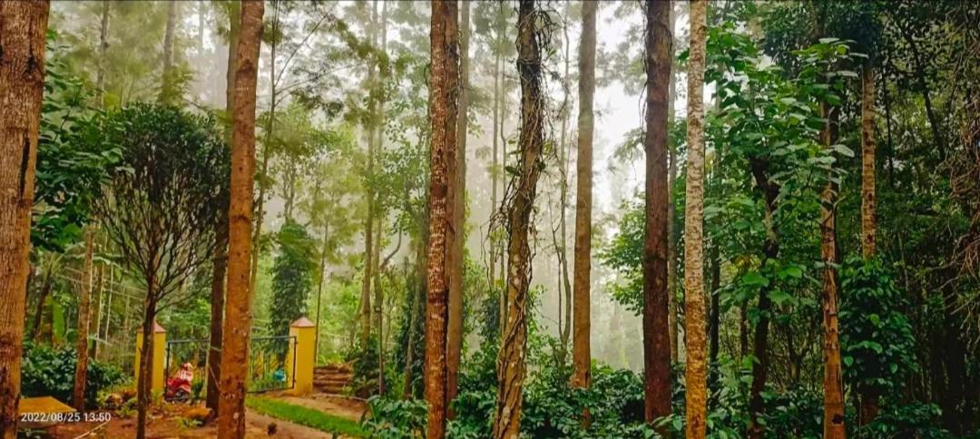 Sp Resort Inn Yercaud Eksteriør billede